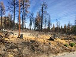 Signs of the fire in Alta Lake State Park 